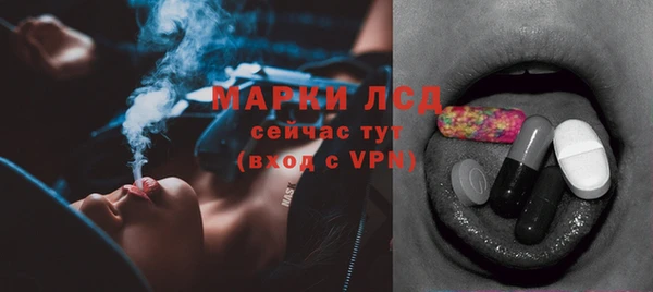 шишки Козельск