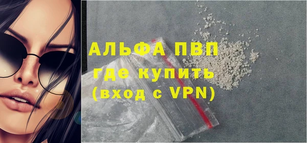 шишки Козельск