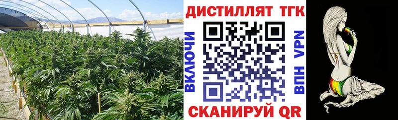 Купить закладки  Сусуман  Дистиллят ТГК концентрат 